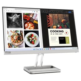 Monitor 21" LED Lenovo L24I-40